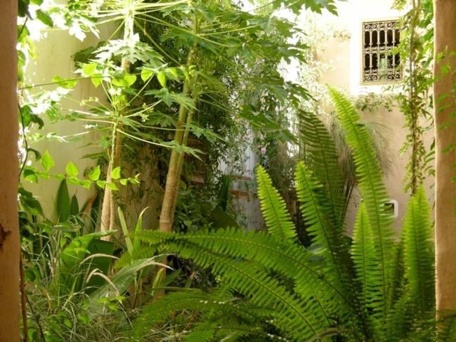 Hotel Dar Zahia Taroudant Exteriér fotografie