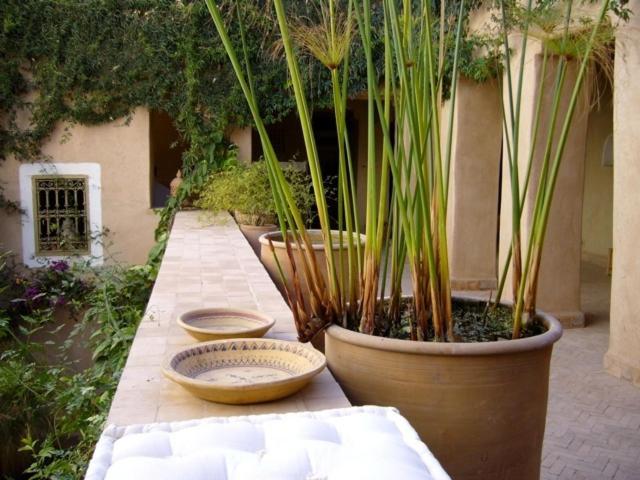 Hotel Dar Zahia Taroudant Exteriér fotografie