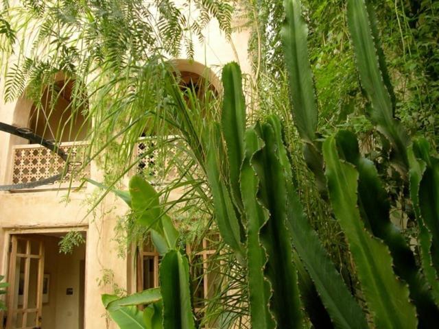 Hotel Dar Zahia Taroudant Exteriér fotografie