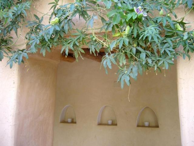 Hotel Dar Zahia Taroudant Exteriér fotografie