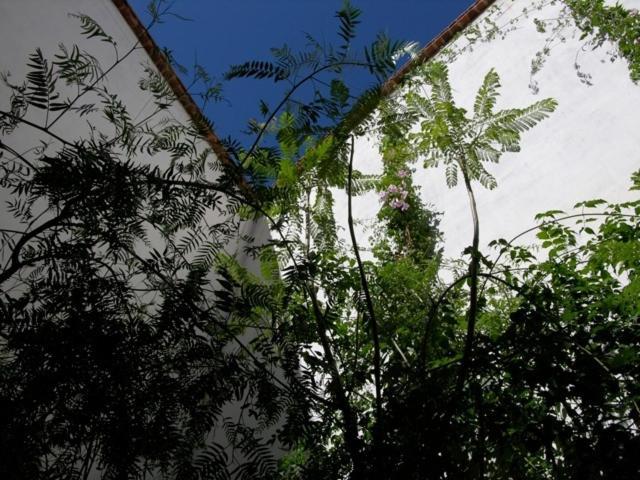 Hotel Dar Zahia Taroudant Exteriér fotografie